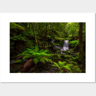 Horseshoe Falls III, Tasmania Posters and Art